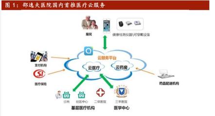 科技助力抗疫 互聯(lián)網(wǎng)醫(yī)療行業(yè)迎來春天——聚焦信息技術咨詢服務的角色